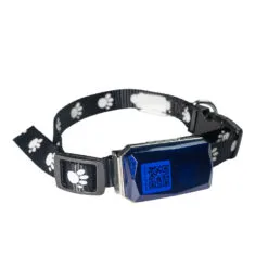 GPS + Collar